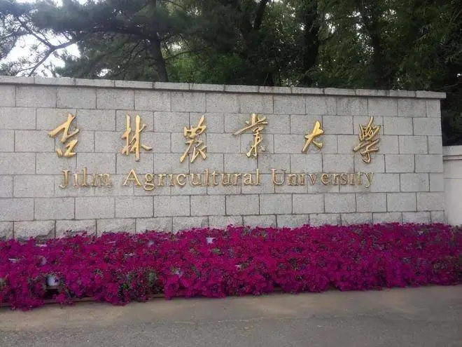 详细阅读:吉林农大成人学位证 报考条件与规划 吉林农大成人学位证 报考条件与规划